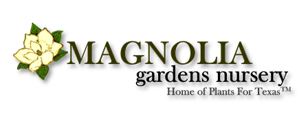 Magnolia Gardens New Logo