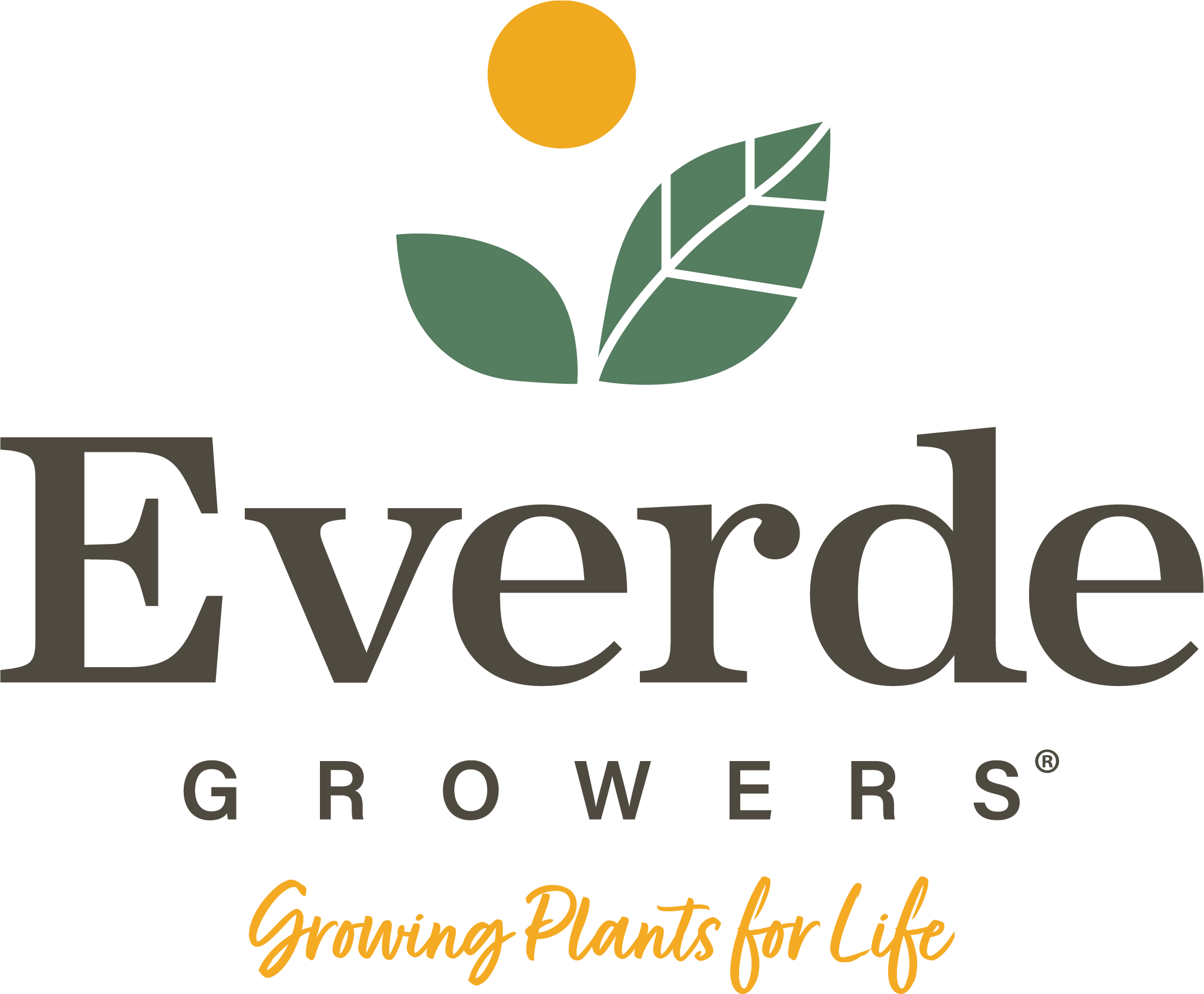 Registered Everde Logo with Tagline-01